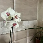 Dani *